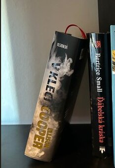 Mix krimi & thriller – rôzni autori