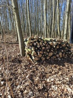 Nabízíme javor palivové  dřevo... Jedná se o