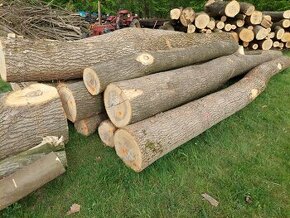 Dřevo jasanové stavební nebo palivové