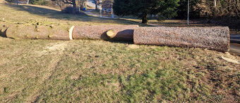 Smrkové dřevo - kulatina - 1