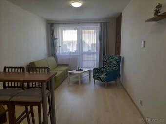 Pronájem bytu 1+kk (36m2) - 1