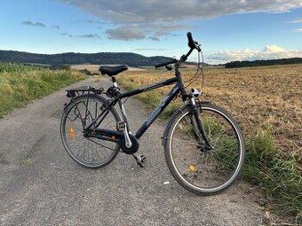 Pegasus Piazza 28”