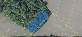 Prodám lesní pozemek v k.ú. Solany