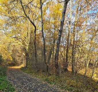 Pozemek Horní Libchava - 1