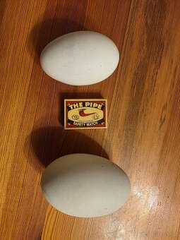 Vyfouklá husí vejce. - 1