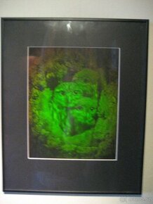 3 D laserový obraz sovičky