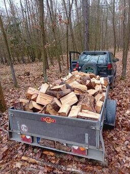 Přívěsný vozík 750kg [ 1500kg] - nebržděný