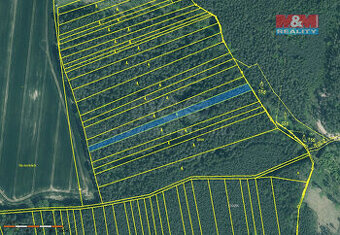 Prodej lesa, 3179 m², Bernartice - 1