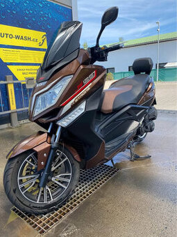 kentoya maximus 125