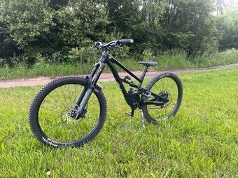 YT Capra 29”