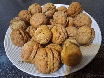 Prodám velké vlašské ořechy-suché papíráky,neloupané