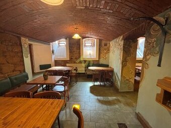 Pronájem prostorů pro provoz restaurace v centru Plzně - 1