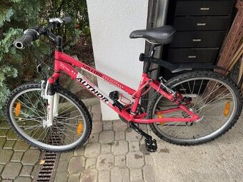 Cyklistické kolo Author