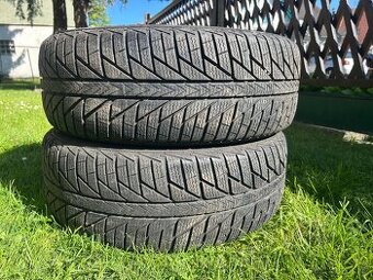 Zimní pneu Viking Snowtech 2