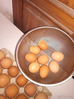 Domácí vajicka