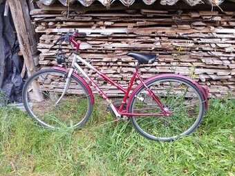 Max bike 19