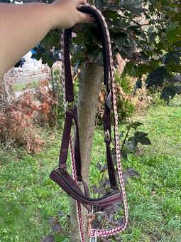 Eskadron ohlávka + vodítko vínová