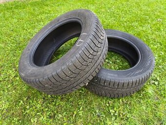 Nokian WR 235/55 R17 103V XL