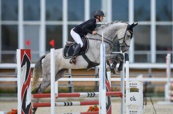 Valach do sportu - 1