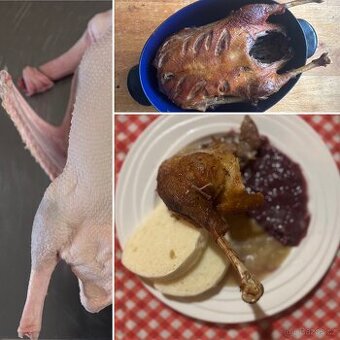 Svatomartinská husa