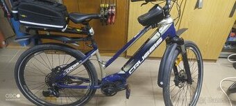 Crussis One Oli Cross lady