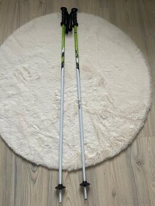 Hůlky Elan 105cm