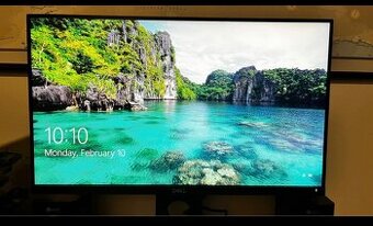 Dell P2418D 24 “ monitory