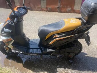 Kentoya asphyx 125cmm
