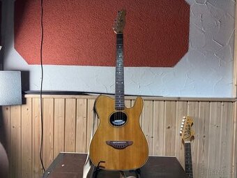 Fender Telecoustic Natural