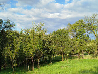Stavební pozemek v čisté přírodě Lubná u Kroměříže 842 m²