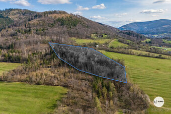 Prodej lesního pozemku, 20 736 m², Vyšní Lhoty