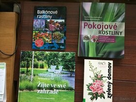 Pokojové rostliny, Balkónové rastliny,z