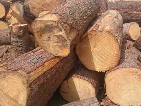 Palivové dřevo   TVRDE/MĚKKÉ