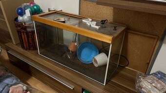 Terarium