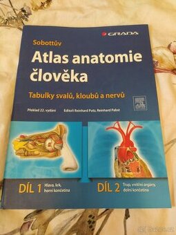Sobottův atlas anatomie člověka - tabulky svalů, kloubů a ne - 1