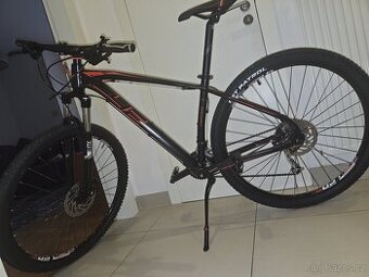 4E Front Bee 17