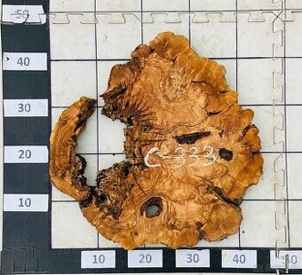 NOVÉ KUSY- Olivové koláče 30mm, vysušené - 1