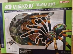 4D model Tarantule - 1