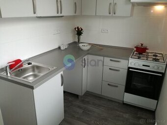 Pronájem bytu 1+1 39 m2, ul. Šeříkova 615/27, Ostrava - Výšk