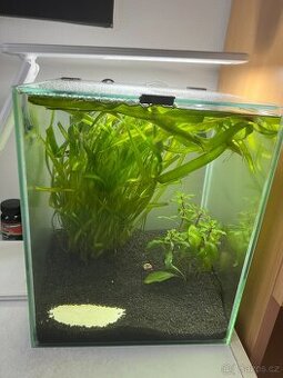 Akvarium 18l
