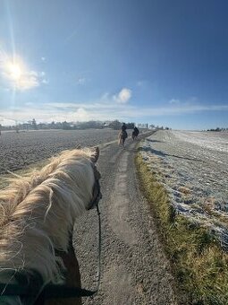 Jízda na koni /pronajem