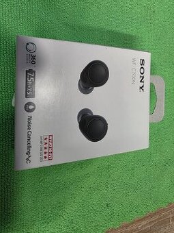Sony WF C700N