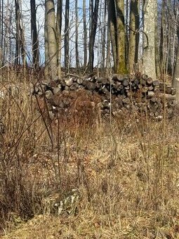 Prodám palivové dřevo