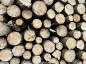 Palivové dřevo, smrková kulatina z probírky lesa