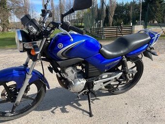 Yamaha YBR 125 - 1