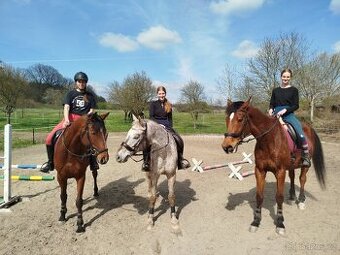 Nabídka ustájení 24/7