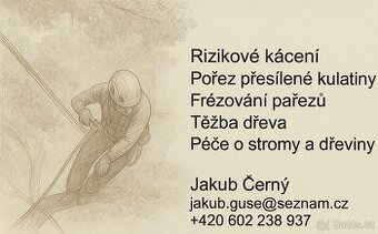 Rizikové kácení-frézování pařezů-pořez kulatiny.