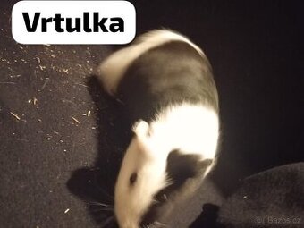 Daruji jen do dobrých rukou