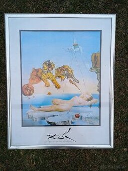 Obraz od Salvadora Dalí