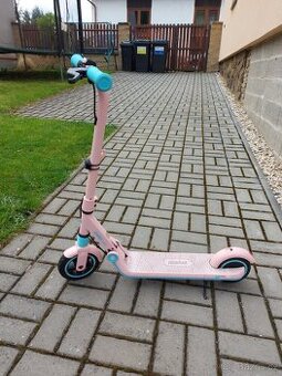 Elektrokoloběžka Ninebot eKickScooter ZING E8
